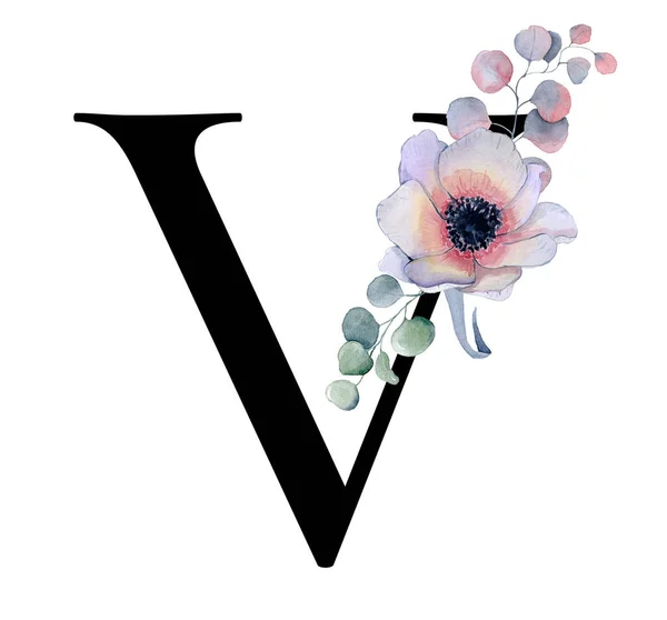Floral ακουαρέλα αλφάβητο. Μονόγραμμα αρχικό γράμμα V σχεδιασμό με το χέρι που παιωνία και Ανεμώνη λουλούδι και μαύρο πάνθηρα — Φωτογραφία Αρχείου