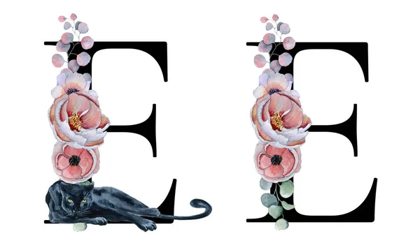 Floral watercolor alphabet. Monogram initial letter E design with hand drawn peony and anemone flower  and black panther — Stock Photo, Image