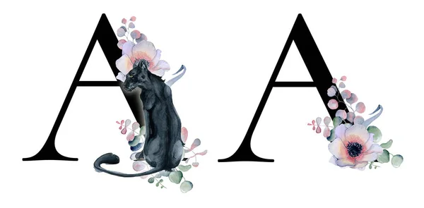 Floral watercolor alphabet. Monogram initial letter A design with hand drawn peony and anemone flower  and black panther for wedding invitation, cards, logos — Stock Photo, Image