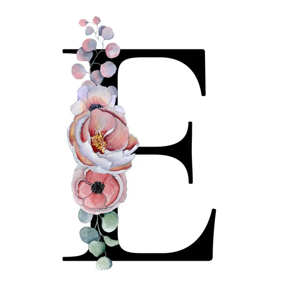 Floral ακουαρέλα αλφάβητο. Μονόγραμμα αρχικό γράμμα E σχεδιασμό με το χέρι που παιωνία και Ανεμώνη λουλούδι και μαύρο πάνθηρα — Φωτογραφία Αρχείου