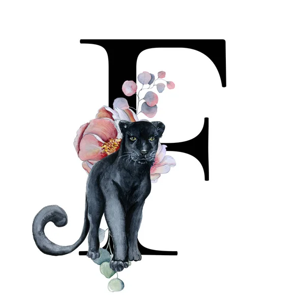 Floral watercolor alphabet. Monogram initial letter F design with hand drawn peony and anemone flower  and black panther — Stock Photo, Image