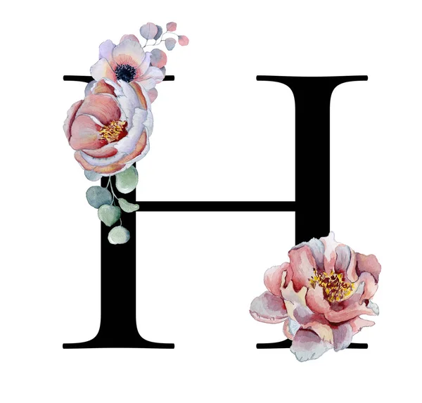 꽃 수채화 알파벳입니다. 모노 그램 초기 편지 H 디자인 손으로 그린 모란와 아 네모 네 꽃과 블랙 팬더 — 스톡 사진