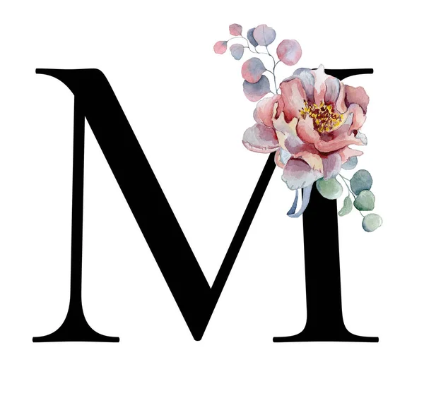 Floral watercolor alphabet. Monogram initial letter M design with hand drawn peony and anemone flower  and black panther — Stock Photo, Image