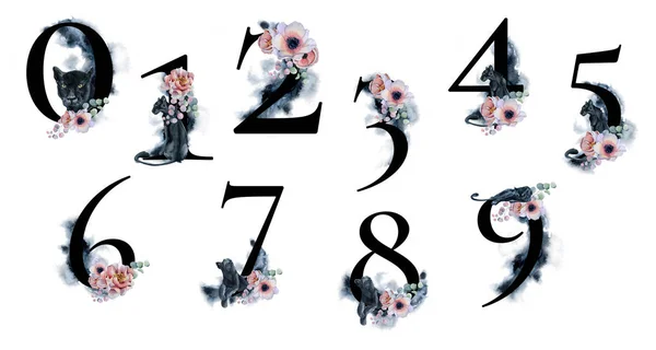 Números de acuarela con salpicaduras fondos flores y panteras negras. Set romántico para invitaciones de boda y tarjeta —  Fotos de Stock