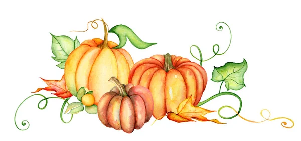 Aquarellkürbis und Herbstblätter. Erntezusammensetzung. Glücklicher Erntedanktag. Handgezeichnete Illustration — Stockfoto
