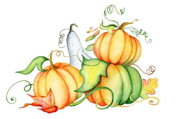 Aquarellkürbis und Herbstblätter. Erntezusammensetzung. Glücklicher Erntedanktag. Handgezeichnete Illustration — Stockfoto