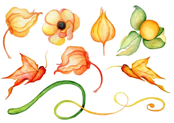 Watercolor fall floral set with harvest illustration isolated on the white background — Stock Photo, Image