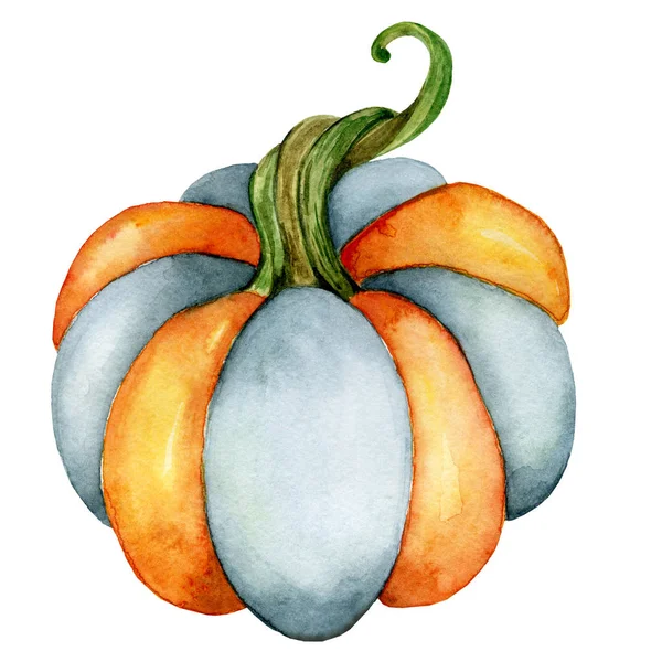 Illustrazione zucca acquerello isolato sullo sfondo bianco — Foto Stock