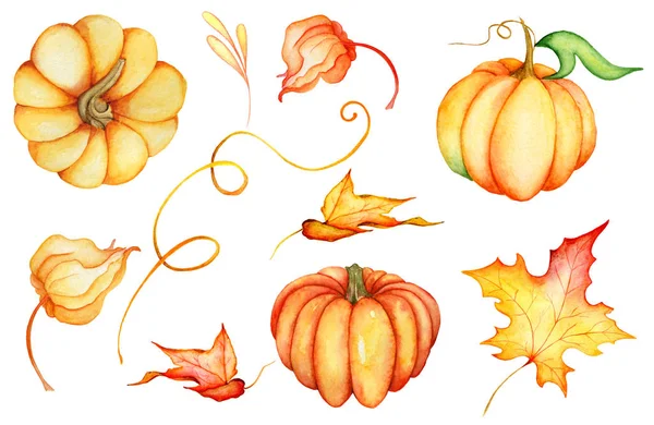 Watercolor pumpkins,  illustration isolated on the white background — Stock Photo, Image