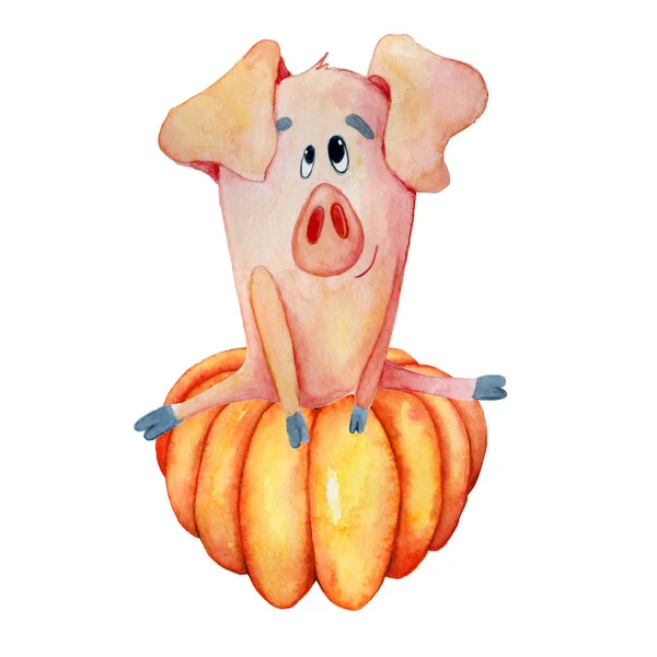 Søde grise med græskar høst Thanksgiving 2019 skabelon Håndtegnet akvarel - Stock-foto