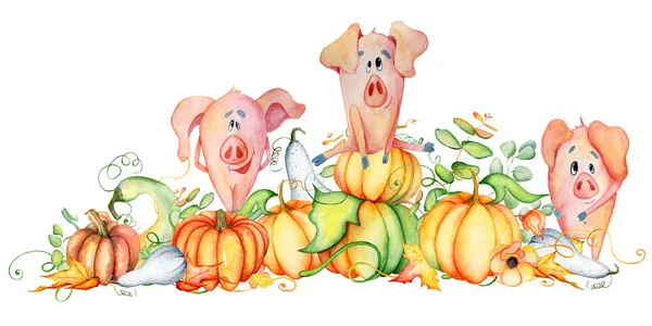 Carino maiali con zucche raccolto modello Ringraziamento 2019 Acquerello disegnato a mano — Foto Stock