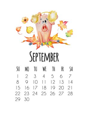 Sulu boya şirin domuz Eylül ile 2019 yeni yıl için Mounthly takvim
