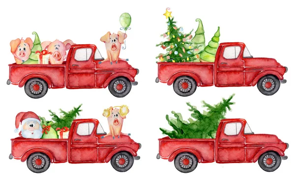 Domuz, Noel Baba ve çam ağaçları yeni yıl suluboya illüstrasyon kırmızı Noel kamyon