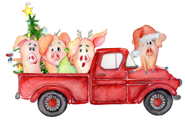 Красный рождественский грузовик со свиньями и соснами Новогодняя акварель — стоковое фото