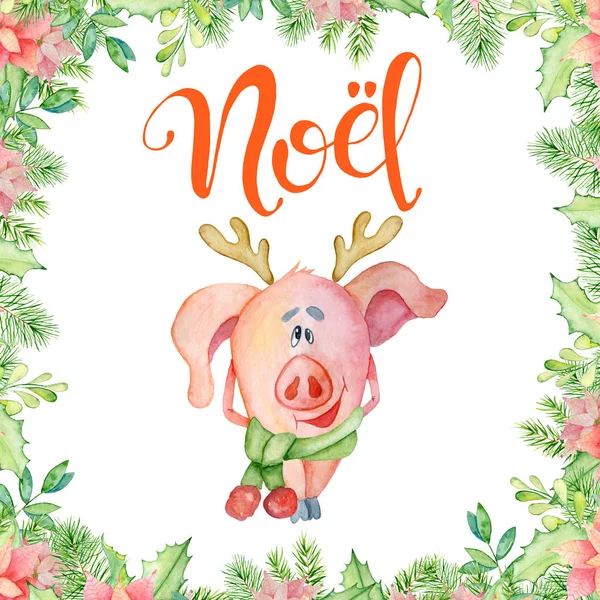 Vidám karácsony akvarell kártya aranyos vicces sertés scarfc és szarv. betűkkel idézet Noel — Stock Fotó