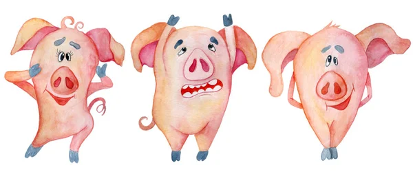 Cute Christmas pigs. Symbol Chinese New Year. Watercolor illustration — Stock Photo, Image