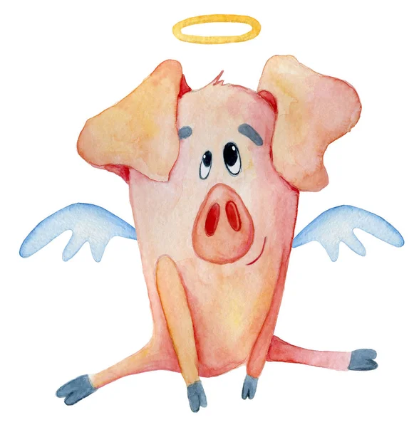 Cute Christmas pig with wings and halo symbol Chinese New Year Watercolor illustration — Stock Photo, Image