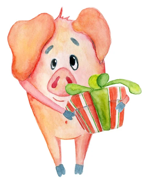 Carino maiale di Natale con regalo Illustrazione acquerello — Foto Stock