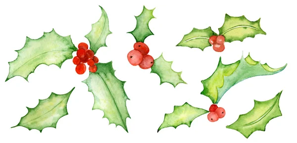 Ilustração de visco de Natal aquarela Ilustração desenhada à mão — Fotografia de Stock