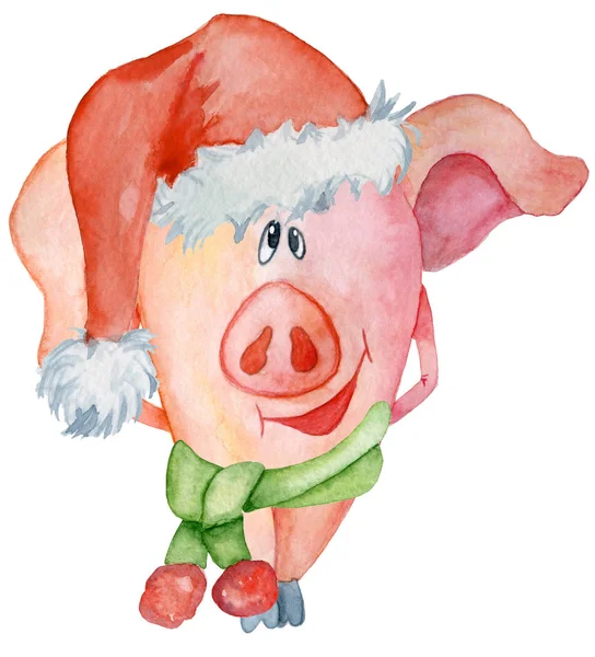 Cochon de Noël mignon avec chapeau Sanata Aquarelle illustration — Photo