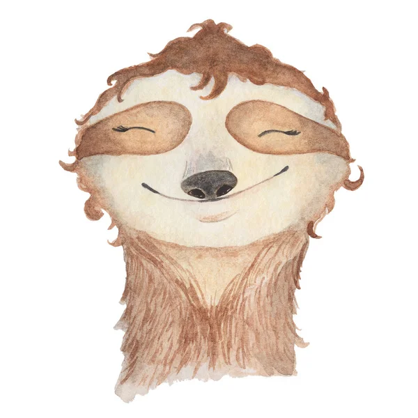 Акварель ленивец милый ручной рисунок — стоковое фото