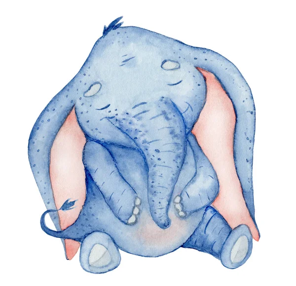 Akvarell aranyos elefánt állat illusztráció — Stock Fotó