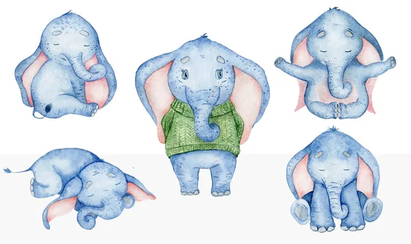 Akvarell szett aranyos elefántok állat illusztráció — Stock Fotó