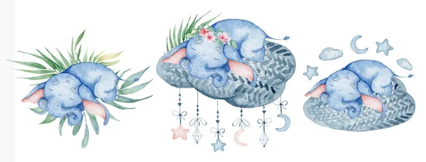 水彩可爱的大象设置睡在云动物插图 — 图库照片