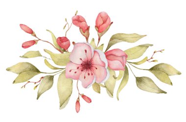 Sakura çiçek suluboya illüstrasyon. Çiçek yaprağı buketi 