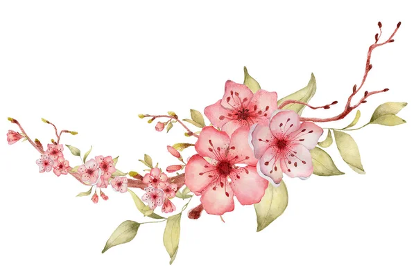 Sakura flores aquarela ilustração. Buquê de pétalas de flor — Fotografia de Stock