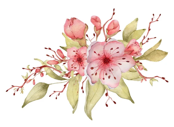 Sakura flores acuarela ilustración. Ramo de pétalos de flor — Foto de Stock