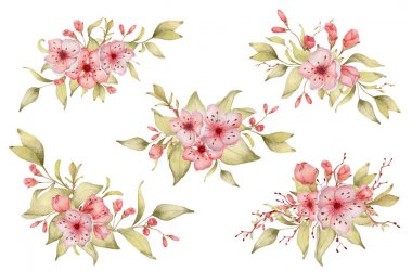Sakura çiçek suluboya illüstrasyon. Çiçek yaprağı buketi 
