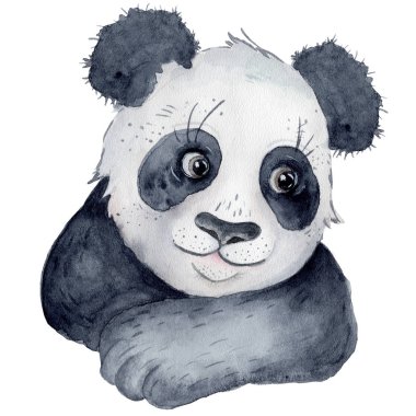 Sevimli Panda ayı karikatür suluboya illüstrasyon hayvan