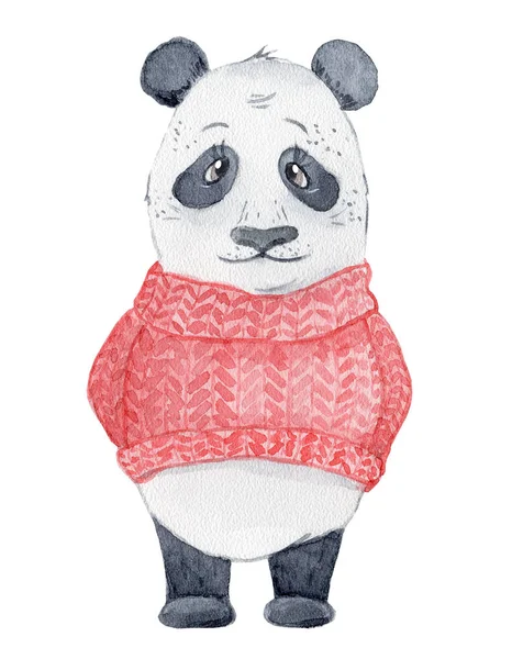 Lindo oso Panda en suéter rojo dibujos animados acuarela ilustración animal — Foto de Stock