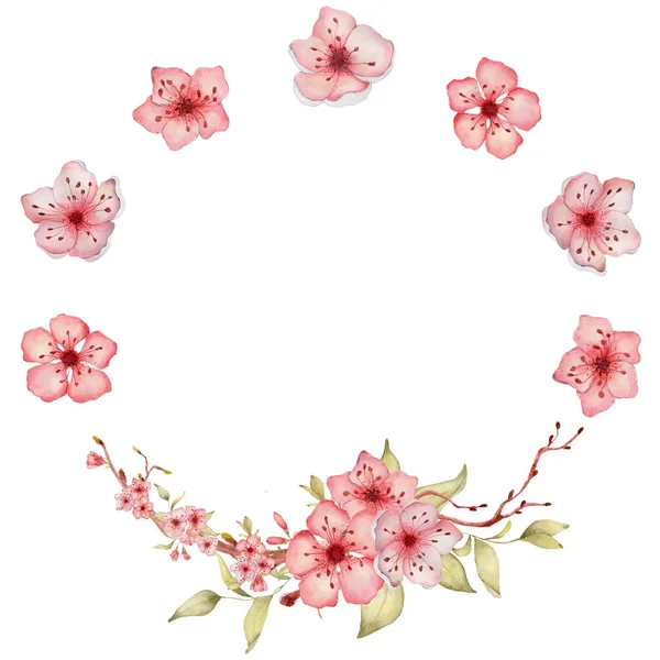 Sakura flores aquarela ilustração. Grinalda de pétala de flor — Fotografia de Stock