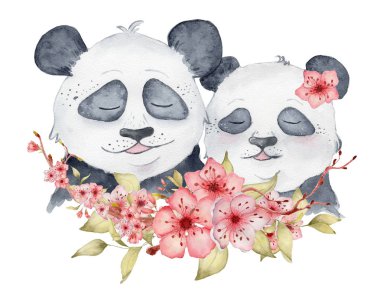 Suluboya panda sakura çiçek dekor Sevimli hayvan ile aşk illüstrasyon çift ayılar