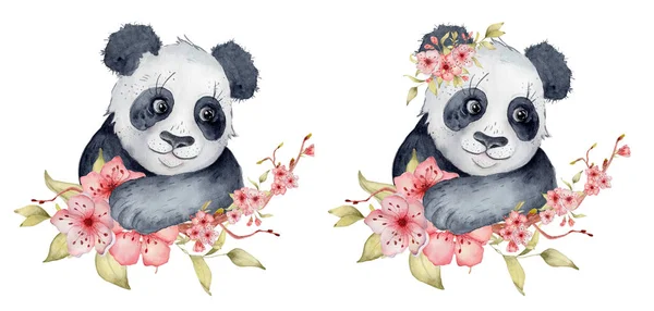 Акварель панда медведь иллюстрация с сакурой цветы декор Милые животные — стоковое фото