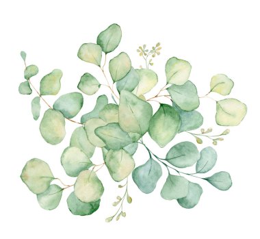 Yeşil okaliptüs suluboya buket illüstrasyon bırakır