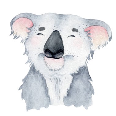 Koala ayı sevimli hayvan karakteri suluboya illüstrasyon