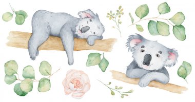 Koala ayı sevimli hayvan karakteri suluboya illüstrasyon