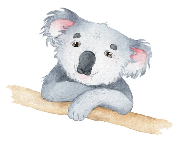 Koalabär niedlich tierischen Charakter Aquarell Illustration — Stockfoto