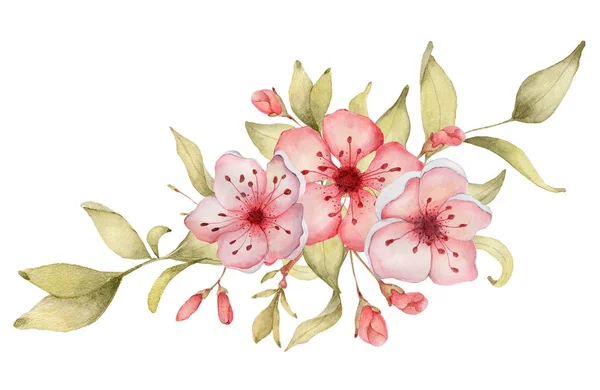 Sakura flores acuarela ilustración. Ramo de pétalos de flor — Foto de Stock