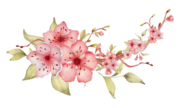 Sakura flores acuarela ilustración. Ramo de pétalos de flor — Foto de Stock