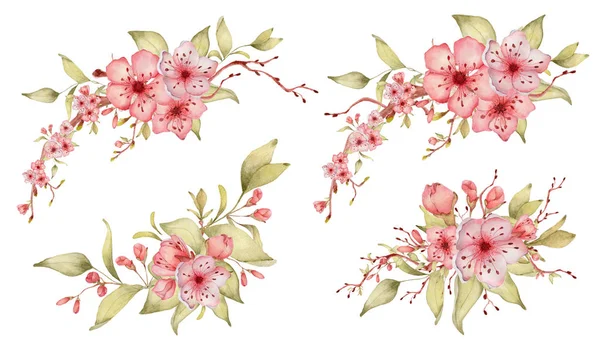 Sakura flores aquarela ilustração. Buquê de pétalas de flor — Fotografia de Stock