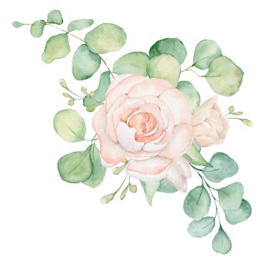 Pembe gül çiçekler ve okaliptüs suluboya buket illüstrasyon yaprakları