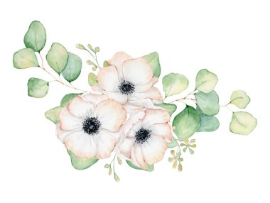 Anemon çiçek ve okaliptüs suluboya buket illüstrasyon yaprakları