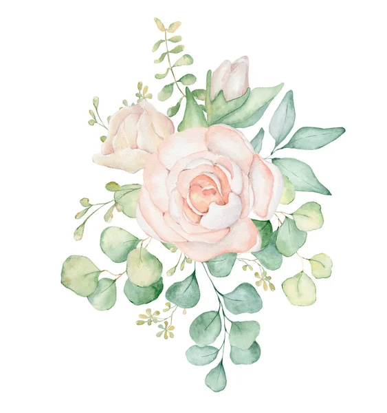 Pink roses flowers and eucalyptus leaves watercolor bouquet illustration