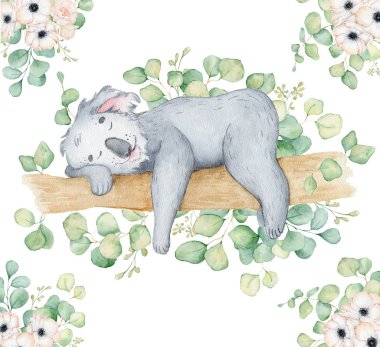 Koala ayı sevimli hayvan karakteri suluboya illüstrasyon