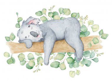 Koala ayı sevimli hayvan karakteri suluboya illüstrasyon