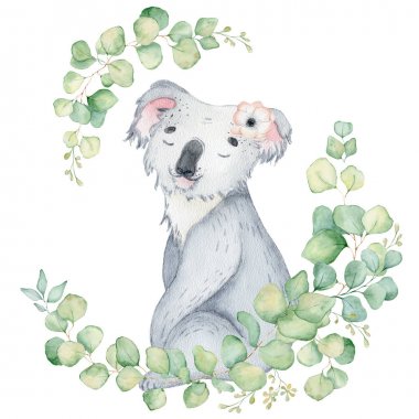 Koala ayı sevimli hayvan karakteri suluboya illüstrasyon